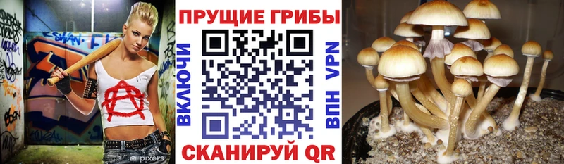 Галлюциногенные грибы ЛСД  наркота  Славск 